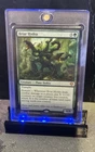 Briar Hydra #