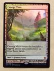 Blighted Gorge