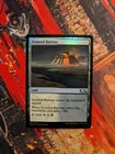 Scoured Barrens