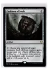 Cauldron of Souls #