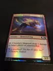 Chandra's Magmutt