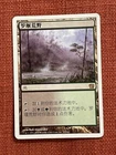 Llanowar Wastes #