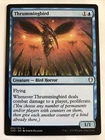 Thrummingbird #