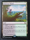 Llanowar Wastes