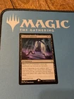 Court of Ambition #