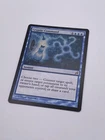 Cryptic Trilobite
