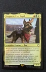 Dogmeat, Ever Loyal #