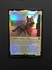Dogmeat, Ever Loyal #