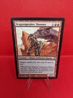 Dragonspeaker Shaman