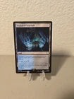 Drowned Catacomb #