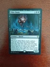 Elder Brain