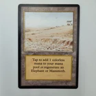 Elephant Graveyard