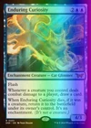 Enduring Curiosity [Extended Art Foil] #