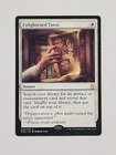 Enlightened Tutor #