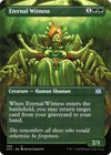 Eternal Witness [Borderless Foil] #