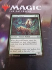 Eternal Witness [Borderless Foil] #