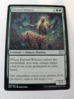 Eternal Witness [Borderless Foil] #