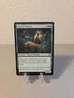 Eternal Witness