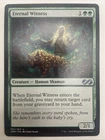 Eternal Witness #