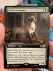 Feline Sovereign