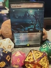 Fetid Pools [Extended Art] #