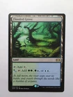 Flooded Grove