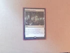 Forbidden Orchard #