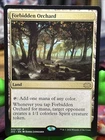 Forbidden Orchard #