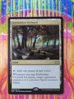 Forbidden Orchard