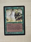 Force of Nature