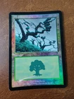 Forest [Foil] #