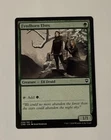 Fyndhorn Elves