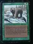 Grizzly Bears