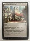 Guildless Commons