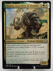 Hamza, Guardian of Arashin