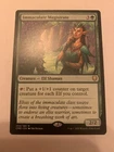 Immaculate Magistrate