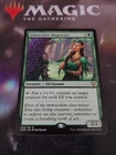 Immaculate Magistrate
