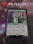 Immaculate Magistrate