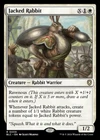 Jacked Rabbit #