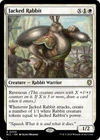 Jacked Rabbit #