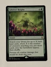 Jaheira's Respite #