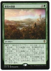 Tempt with Discovery