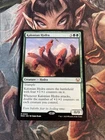 Kalonian Hydra