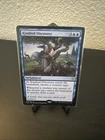 Kindred Discovery #