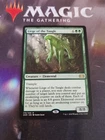 Liege of the Tangle
