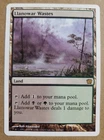 Llanowar Wastes