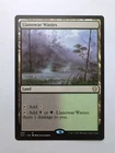 Llanowar Wastes #