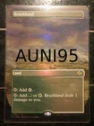Brushland [Borderless Foil] #