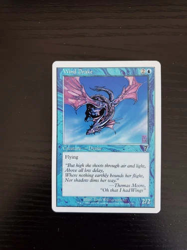 Wind Drake