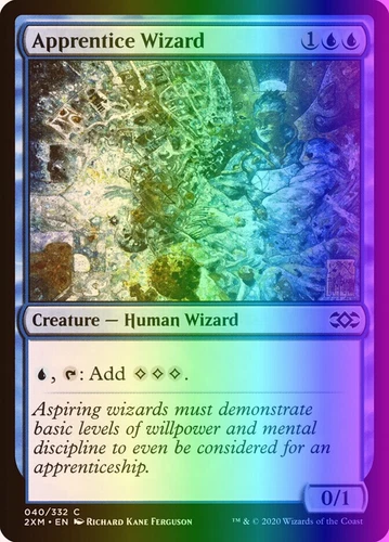 Apprentice Wizard